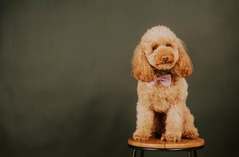 ritratto fotografo pozzallo